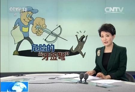 马伊琍深夜晒了张图引众家长恐慌 连央视新闻都花4分钟关注