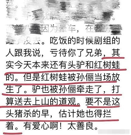 孙俪拍完戏将剧组的驴送上道观 千叮万嘱：驴没了我也不演了