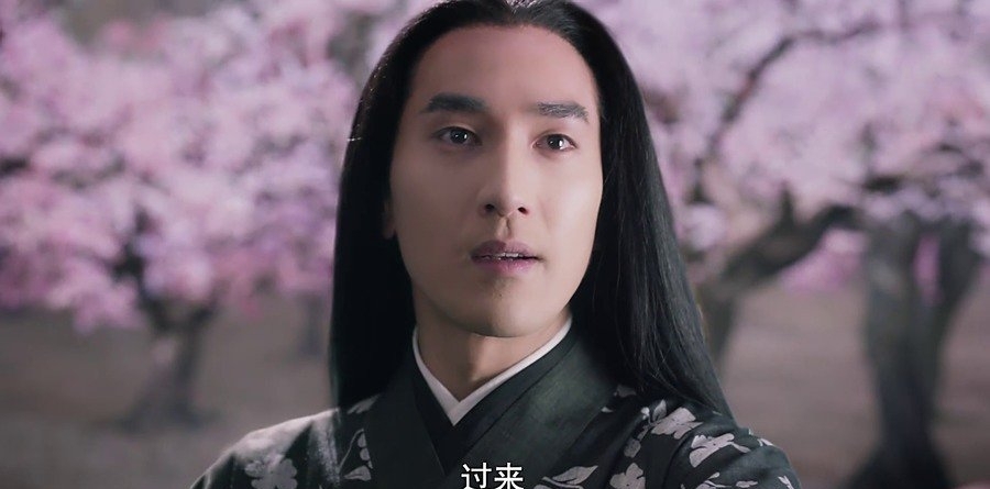 《三生三世十里桃花》