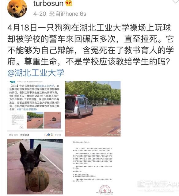 孙俪拍完戏将剧组的驴送上道观 千叮万嘱：驴没了我也不演了