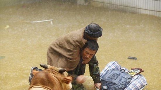 《雨中的树》