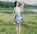 夏天女生连衣裙 夏季雪纺、露肩连衣裙