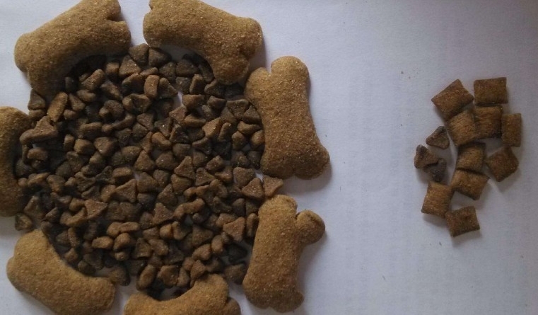 广州截获宠物饲料