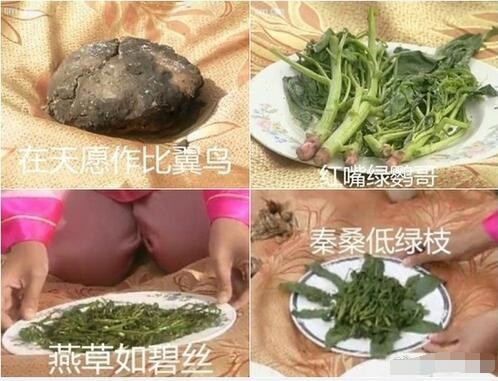 还珠格格出游野餐这段让网友大半夜笑出声 野菜都吃得很香