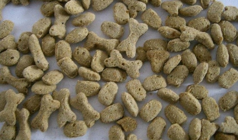 广州截获宠物饲料