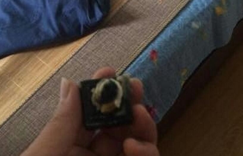 针孔摄像头正对床