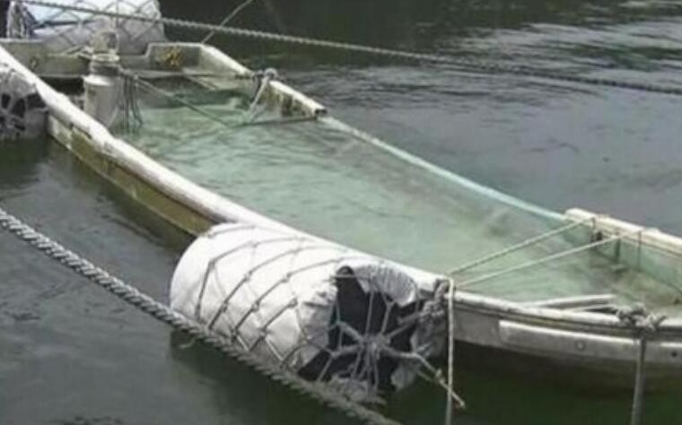 被海啸卷走失踪