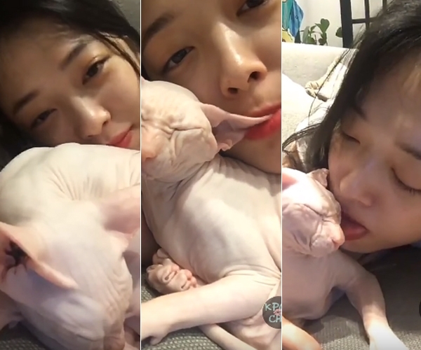 韩国艺人雪莉直播逗猫视频 却被网友质疑其虐待猫
