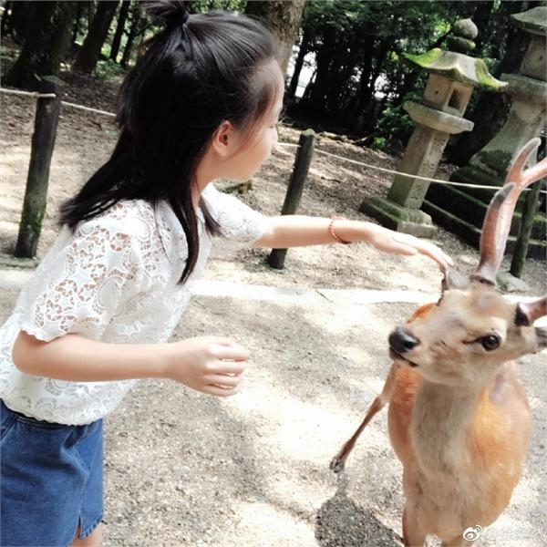 高晓松女儿日本旅行被鹿咬伤哇哇大哭怕变丧尸 妈妈却忙拍照