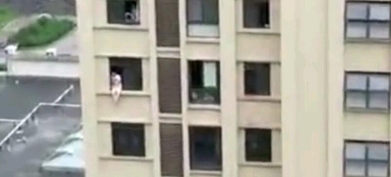 高中生跳楼被踹回