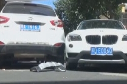 婆婆指挥媳妇倒车顶到树上身亡 错把油门当刹车