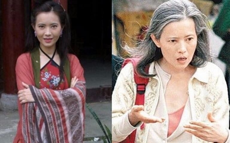 蓝洁瑛被谁侮辱