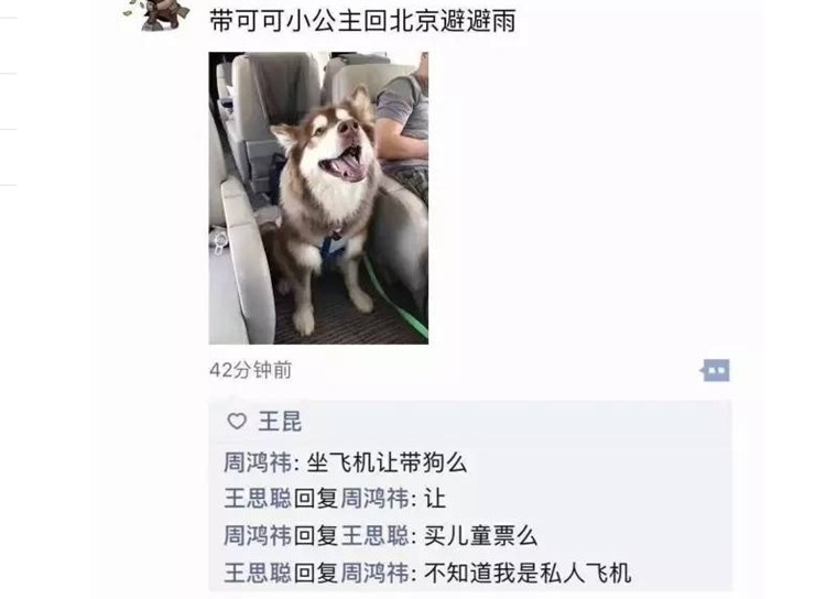 王思聪带狗坐飞机