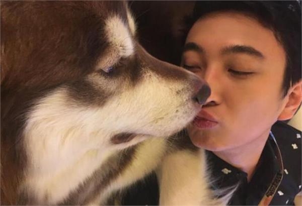 王思聪爱犬疑走丢悬赏100万寻狗 放狠话：给整死了我剁了你