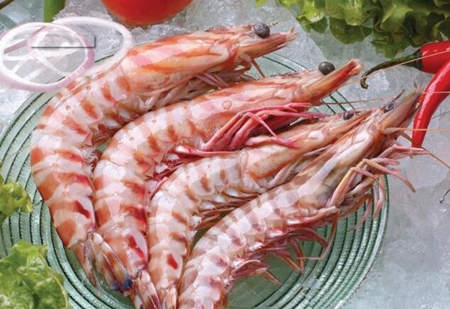 大明虾的营养价值介绍 营养丰富好食材