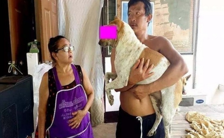 大爷与狗做不可描述事
