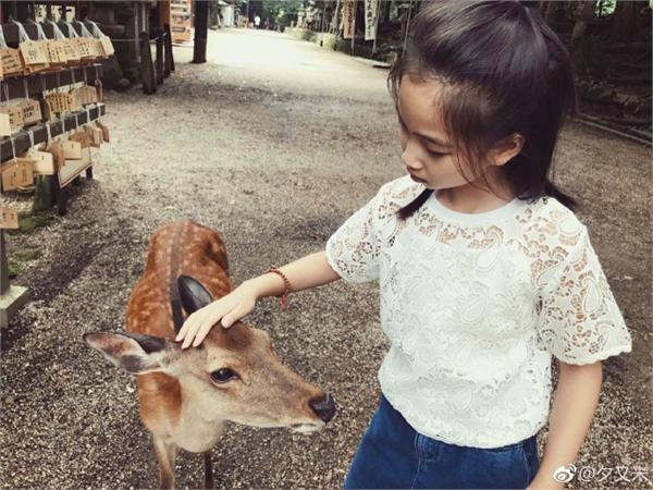 高晓松女儿日本旅行被鹿咬伤哇哇大哭怕变丧尸 妈妈却忙拍照
