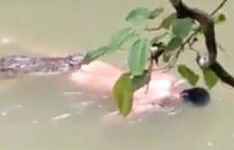鳄鱼将裸男拖入水中