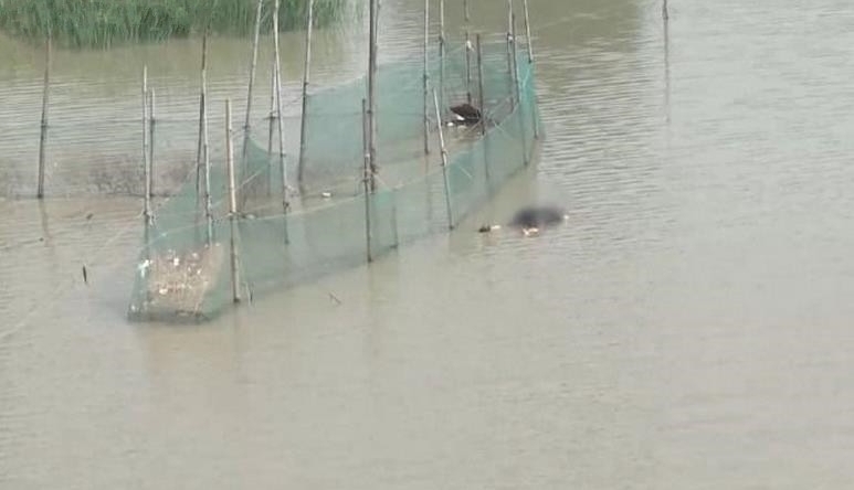 河面惊现男尸