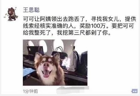 王思聪爱犬疑走丢悬赏100万寻狗 放狠话：给整死了我剁了你