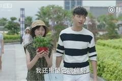 夏至未至大结局郑爽李现CP感超陈学冬 陆之昂出