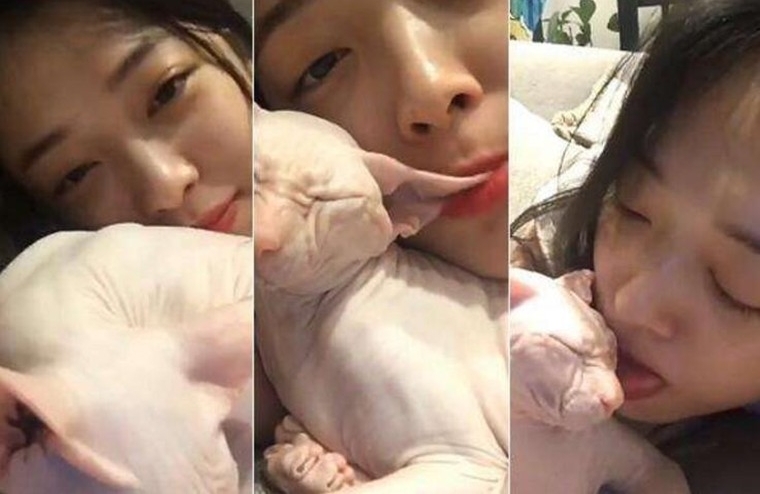 雪莉直播惹虐猫争议