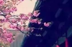 活好今生,别等来世
