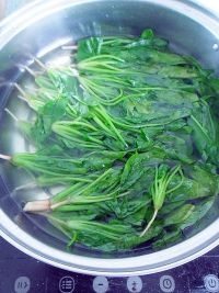 凉拌菠菜的做法步骤8