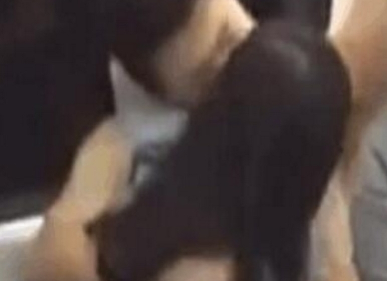 男女地铁情难自己
