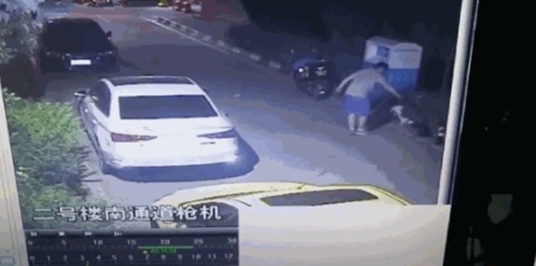 外卖男疯狂摔猫
