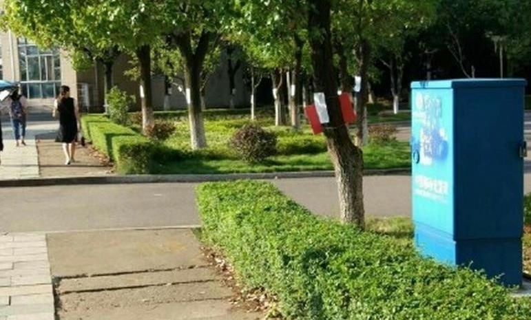 男生在校园贴满表白信