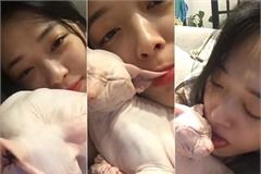 崔雪莉直播咬猫含猫耳画面令人不适 小猫紧闭双