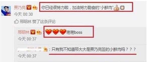 邢昭林背景资料