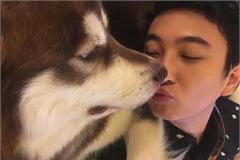 王思聪爱犬疑走丢悬赏100万寻狗 放狠话：给整死