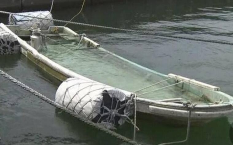 被海啸卷走失踪
