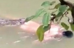 鳄鱼将裸男拖入水中 第二天发生了离奇的事