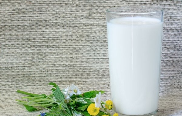 过期的纯牛奶有什么用途