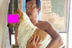 大爷与狗正做不可描述之事被抓现行