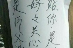 男生在校园贴满表白信 浪漫表白场面十分壮观