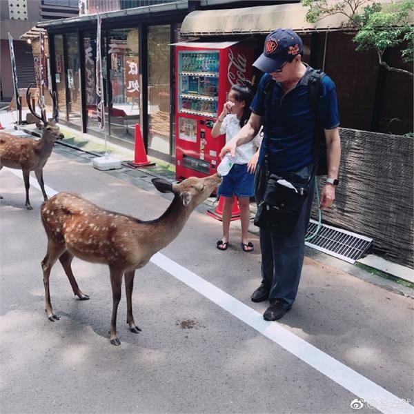 高晓松女儿日本旅行被鹿咬伤哇哇大哭怕变丧尸 妈妈却忙拍照