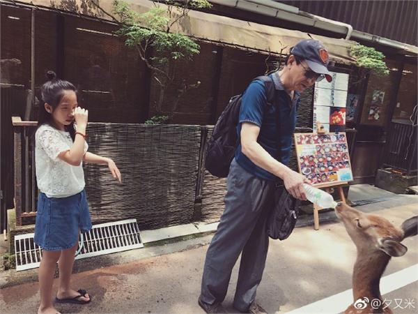高晓松女儿日本旅行被鹿咬伤哇哇大哭怕变丧尸 妈妈却忙拍照