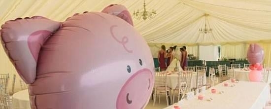 惊呆！新郎花12万办猪主题婚礼 50头猪现场撒欢 令新娘和伴娘崩溃