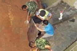 4岁失踪女童被发现埋在施工路面 死因真相曝光