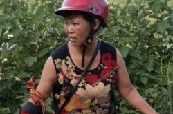 农妇遭五步蛇空袭怒撕毒蛇为儿加个菜 毒蛇被分