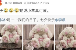 范冰冰七夕告白李晨 “冰晨”疑好事将近