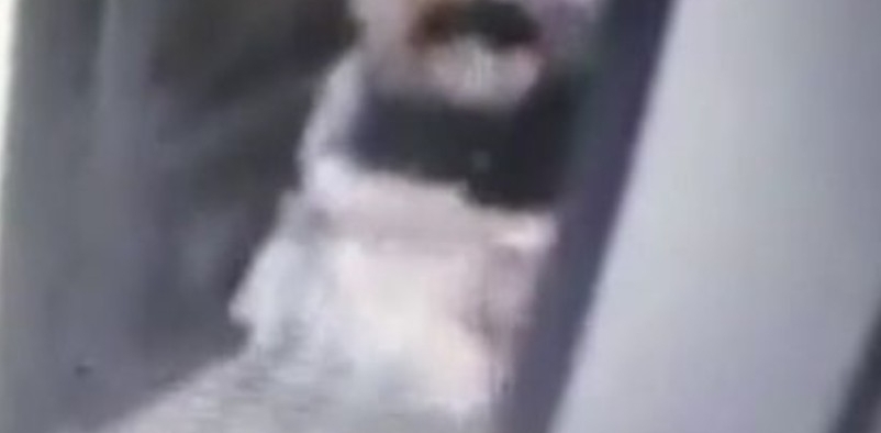 强拽女子进屋欲强奸