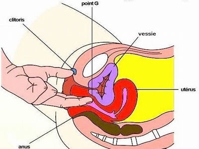 女人下面的真实模样