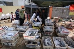 海产品走私捣毁 抓获嫌犯35人案值约8亿人民币