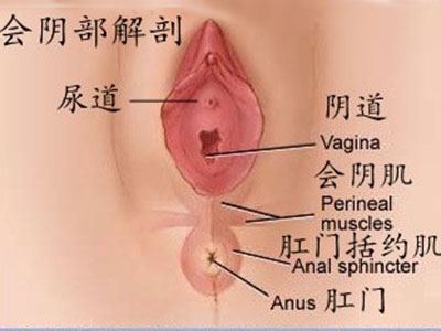 女人下面的真实模样