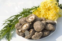 香菇不能和什么一起炒 忌和4种食物同吃